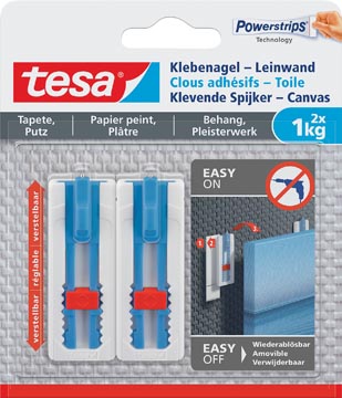 [77778] TESA KLEV SPIJKER 1KG BLS2+3