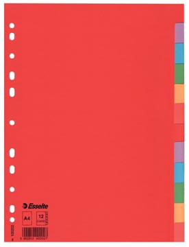 [100202] tabblad a4 12tab economy ass