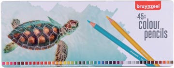 [6312905] bruynz kleurpotl schildpad 45x
