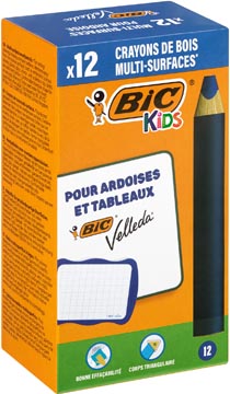 [519016] ds12 whiteb potl bic kids bl