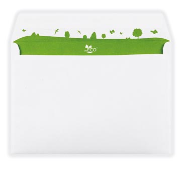 [1740161] bong eco 162x229 str zv ds500