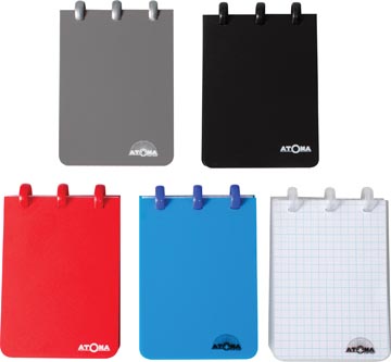 [A41491] atoma noteb pp a7 ass q5