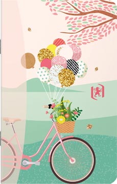 [4154341] horizons notitiebk 30v l ass