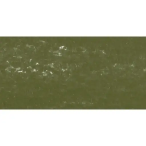 [N132001.169] Pastel à l'écu - Vert Mousse Gris 169/ Grijs Mosgroen 169