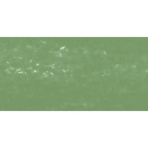 [N132001.172] Pastel à l'écu - Vert Mousse Gris 172/ Grijs Mosgroen 172
