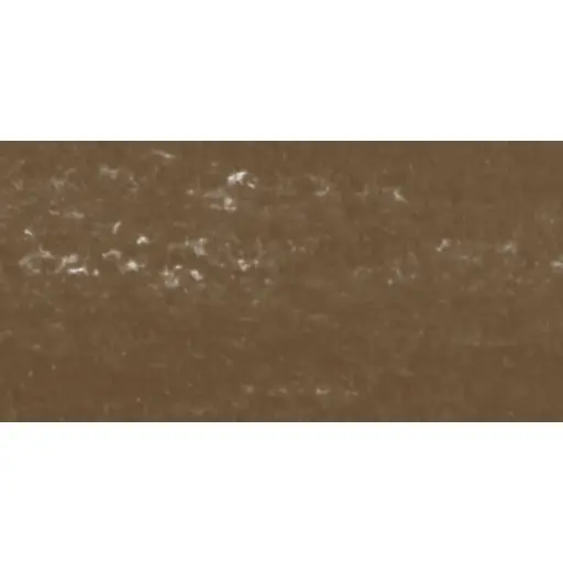 [N132001.161] Pastel à l'écu - Vert Bronze Clair 161 / Bronsgroen Licht 161